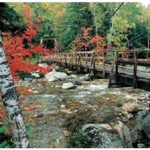 Springbok" Footbridge to Nature" Jigsaw Puzzle 1000 pieces